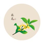 桂花