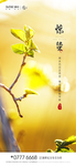 惊蛰  节气