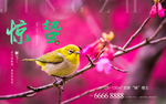 惊蛰