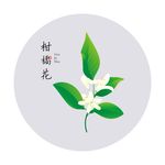 柑橘花