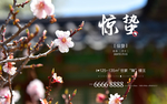 惊蛰