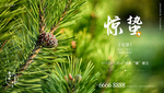 惊蛰 春分
