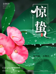 惊蛰