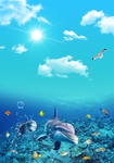 海底世界