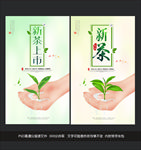 茶