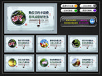移风易俗