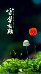 守望