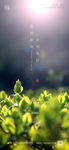 植树节