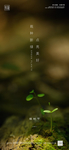 植树节