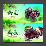 桑葚