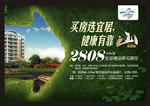 房地产单页 房地产海报