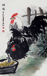 公鸡