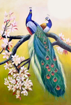 孔雀油画