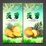 菠萝海报