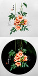 凌霄花