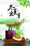 冬虫夏草海报