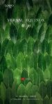 春分节气海报