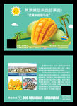 进口芒果海报水果芒果宣传单展架