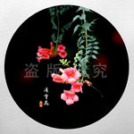 凌霄花
