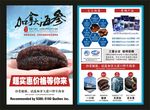 加拿大海参