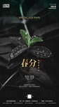 春分惊蛰节气创意