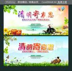 清明时节雨纷纷 一束鲜花祭故人