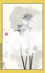 意境荷花