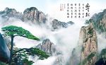 迎客松