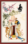 老寿星