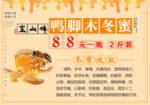鸭脚木冬蜜价格表