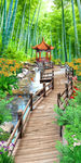 玄关竹林风景