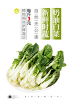 奶油小白菜