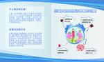 三氧自血疗法操作过程