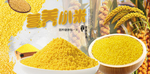 小米