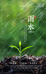 雨水