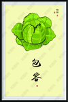 包菜