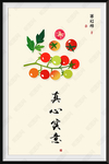 西红柿