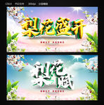 梨花盛开
