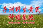 蓝天  白云