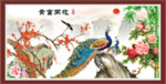 孔雀