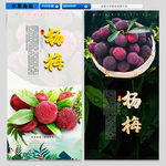 杨梅采摘海报