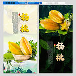 杨桃