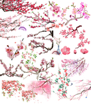 手绘桃花卡通桃花矢量桃花素材