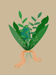 植物插画