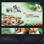 鸡枞