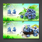 蓝莓