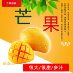 芒果