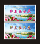 牡丹花文化节