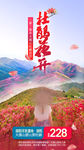 大围山杜鹃花海报