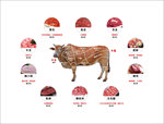 牛肉分割图
